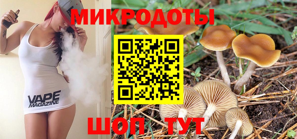 Псилоцибиновые грибы мицелий  Галлюциногенные грибы Psilocybine cubensis  Вход с VPN  Новочеркасск 