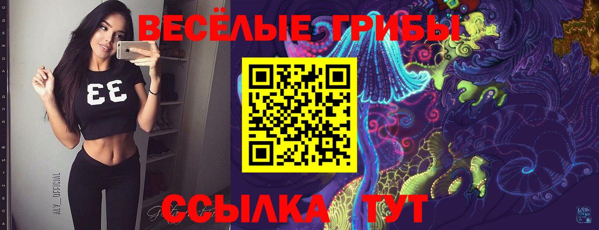 Галлюциногенные грибы Psilocybe Новочеркасск